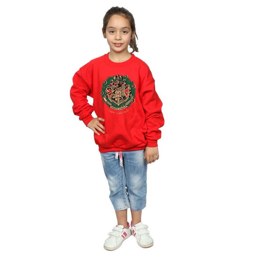 Harry Potter  Sweatshirt 