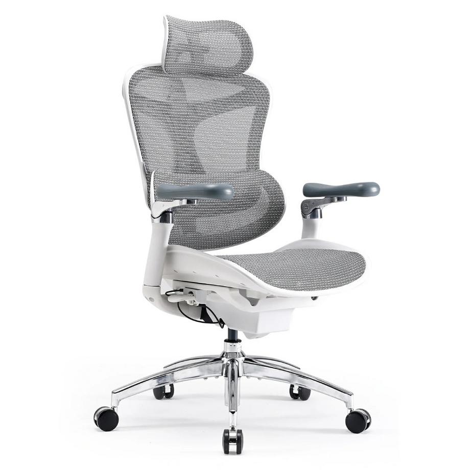 SIHOO C300 Pro Chaise de bureau  