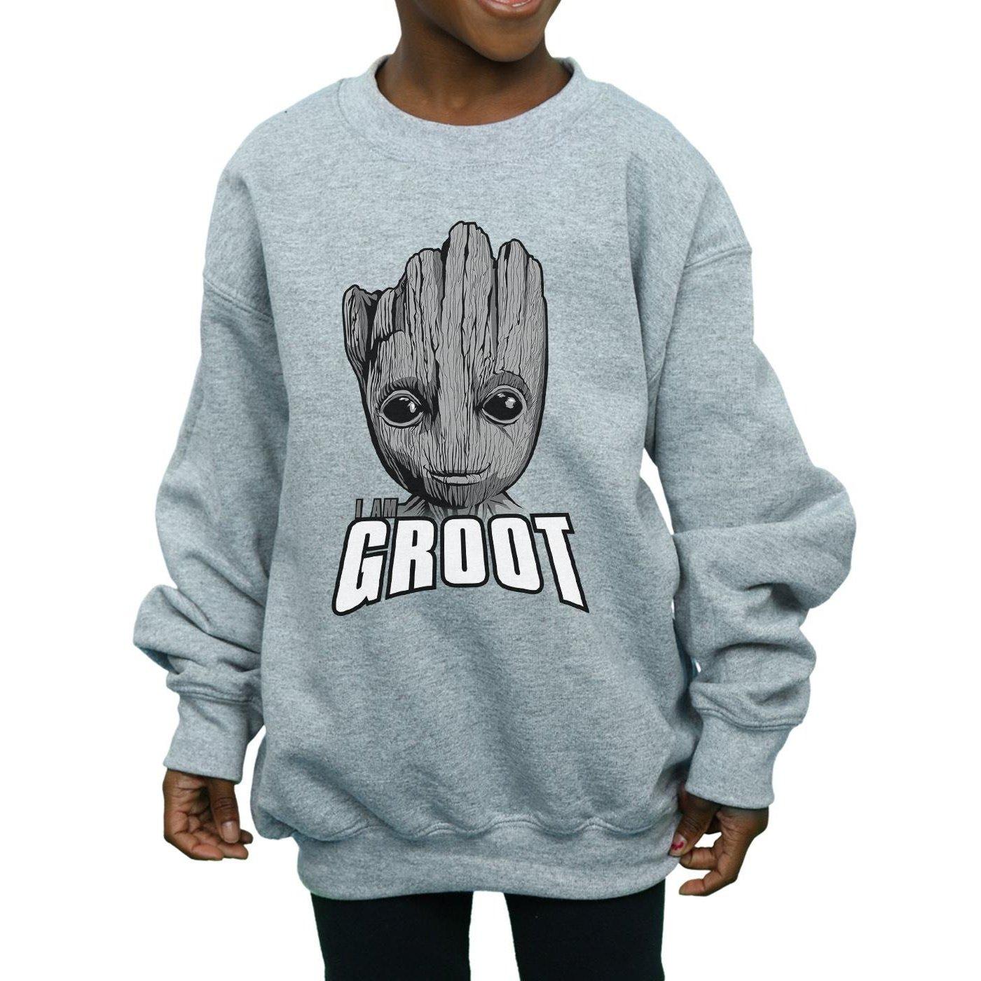 MARVEL  Guardians Of The Galaxy Sweatshirt 