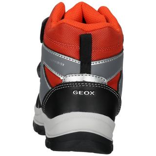 GEOX  Bottines 