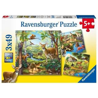 Ravensburger  Wald-/Zoo-/Haustiere, Puzzle (Ravensburger - 09265) 