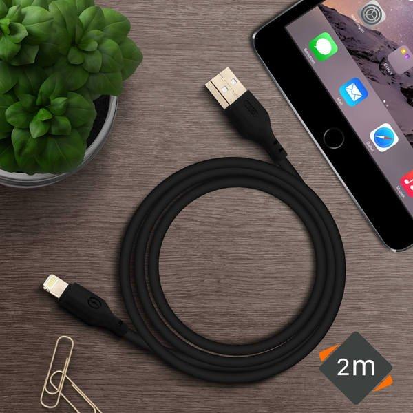 Avizar  Apple iPhone Lightning 2m Kabel Schwarz 