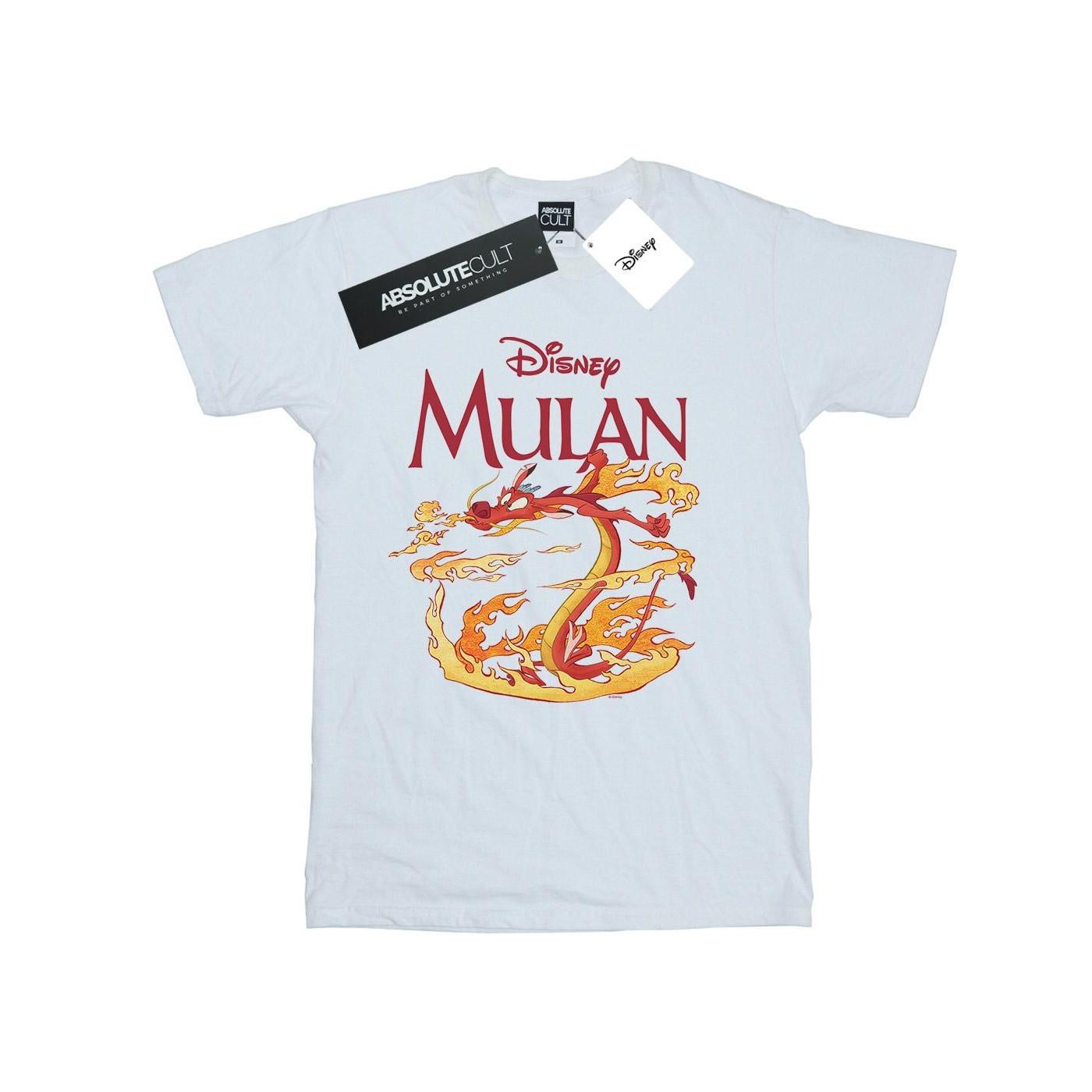 Disney  Dragon Fire TShirt 