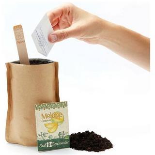 Stadtgärtner  Minigarten Melone 