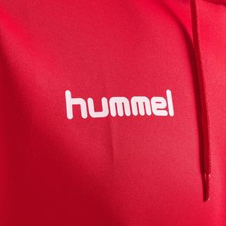 Hummel  hoodie hmlpromo poly 