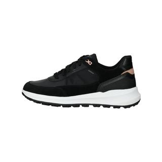 GEOX  Sneaker 