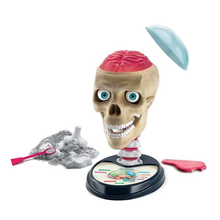 Image of Science & Jeu laboratoire 19212 Wissenschafts-Bausatz & -Spielzeug für Kinder