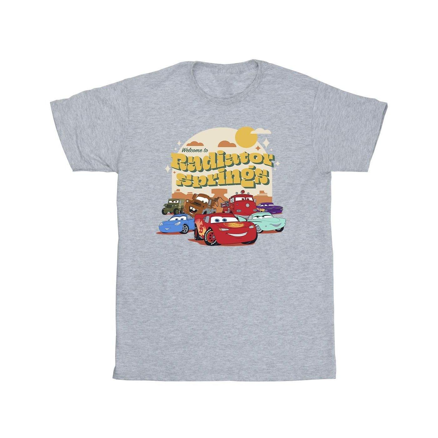 Image of Cars Radiator Springs Group Tshirt Herren Grau XXL