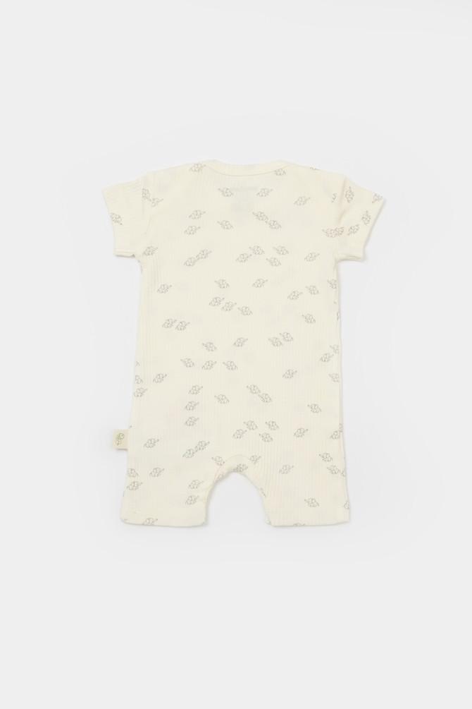 BabyCosy Organic  Strampler kurze, kurzarm 