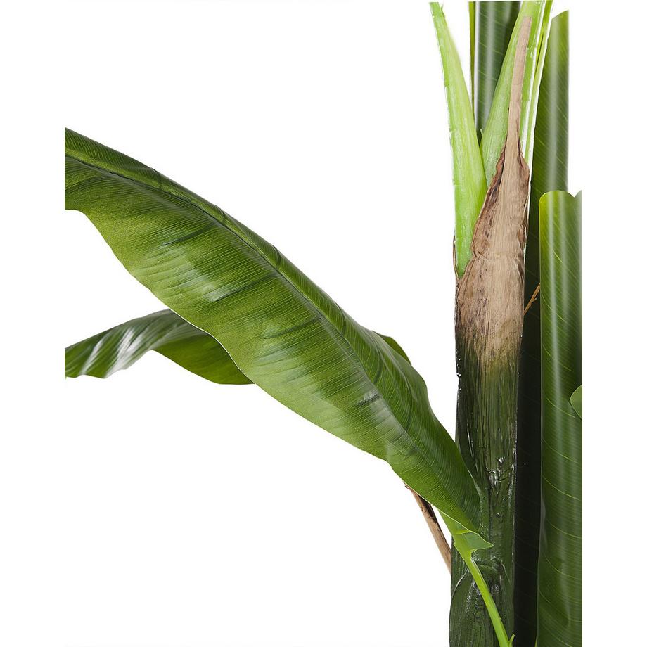 Beliani Plante artificielle en Matière synthétique MUSA TREE  