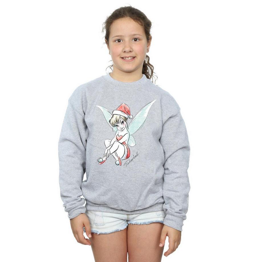Disney  Fairy Sweatshirt 