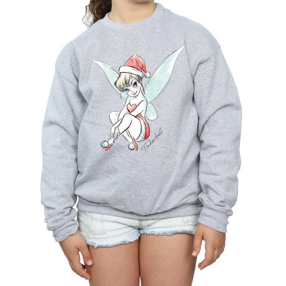 Disney  Fairy Sweatshirt 