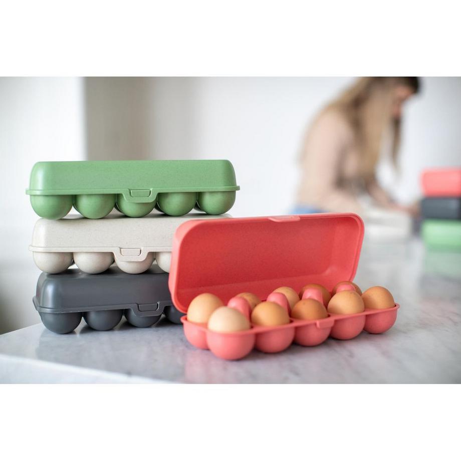 koziol  Eierbox To Go 