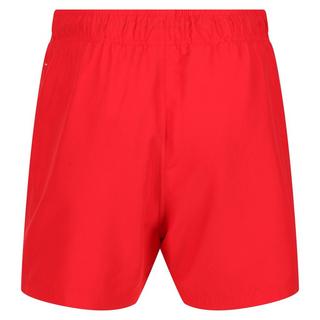 Regatta  Short de bain MAWSON 