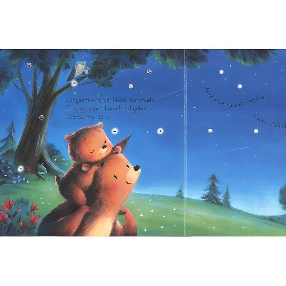 Mein leuchtendes Gute-Nacht-Buch: Der kleine Bär zählt die Sterne Taplin, Sam; Bell, Jennifer (Illustrationen) Gebundene Ausgabe 