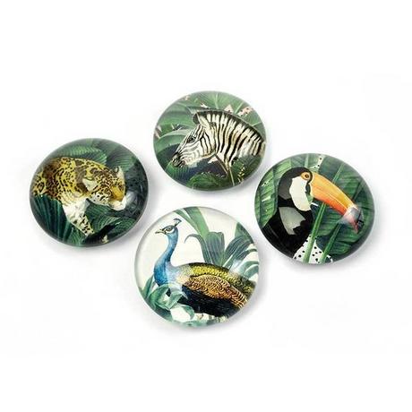 trendform EYE-Magnete ROYAL GARDEN 4er Set  