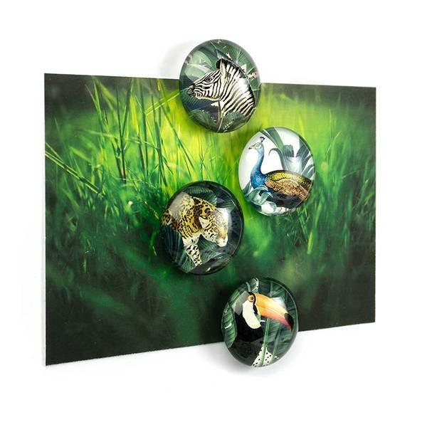 trendform EYE-Magnete ROYAL GARDEN 4er Set  