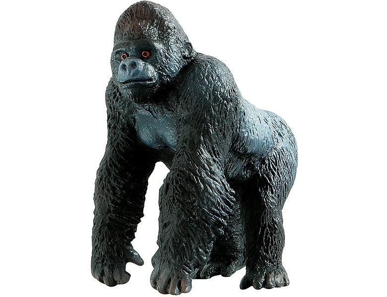 Image of Animal World Silberrücken Gorilla