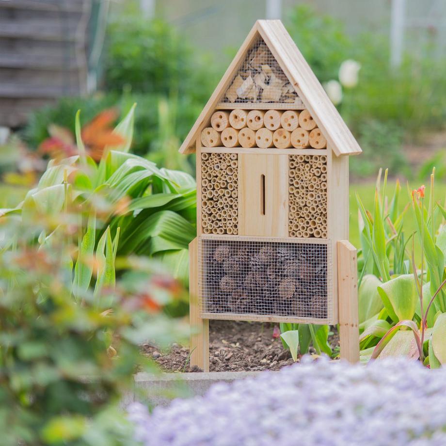 B2X Hotel per insetti taglia naturale L  