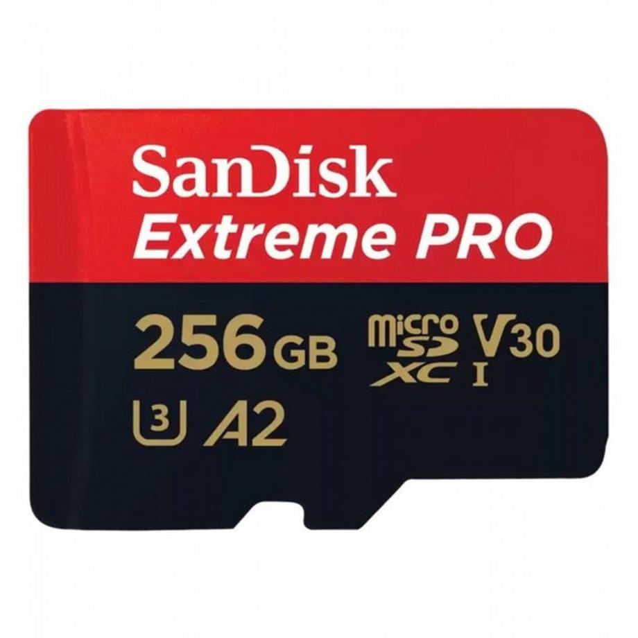 Extreme PRO microSDXC (microSDXC, 256 GB, U3, UHS-I)