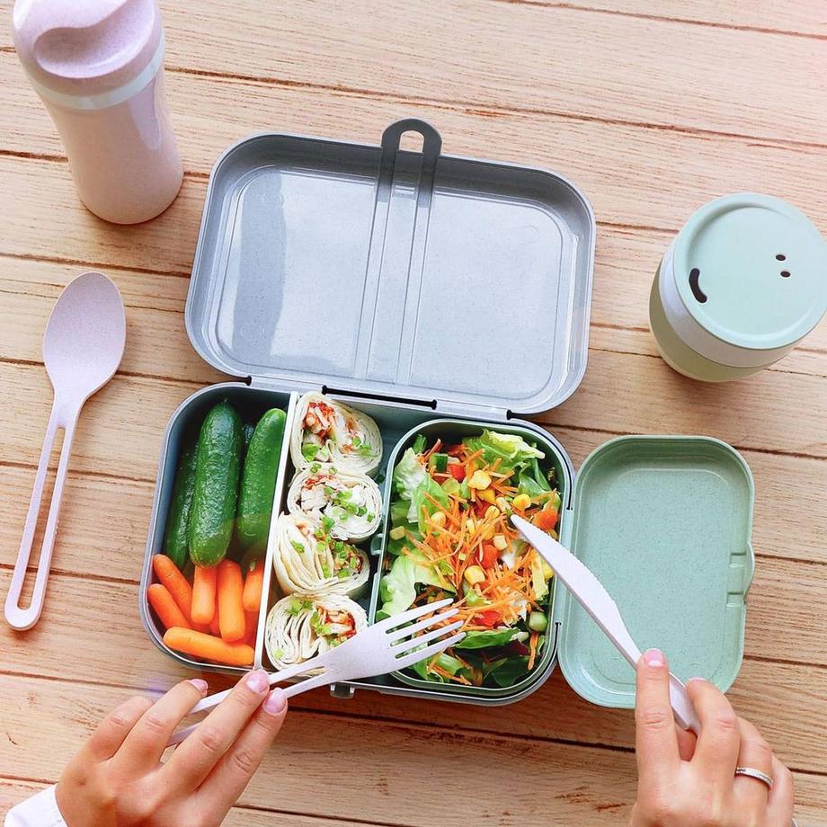 koziol  Lunchbox PASCAL Organic 