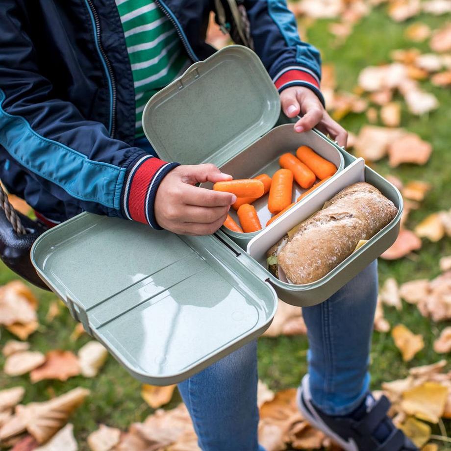 koziol  Lunchbox PASCAL Organic 