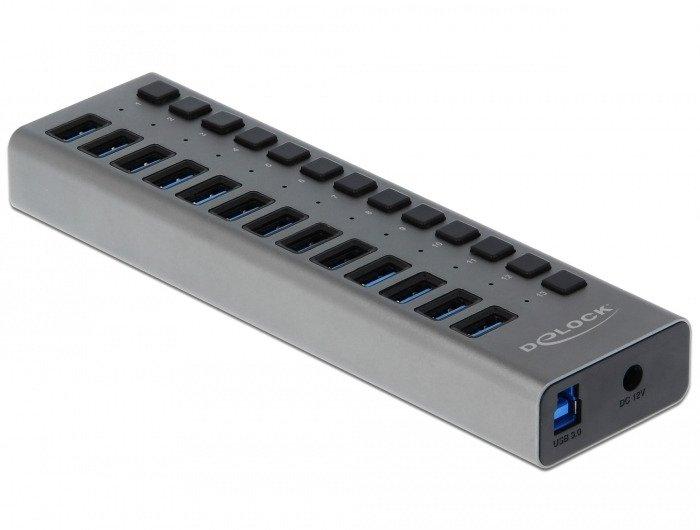 DeLock  Hub USB 5 Gbps esterno con 13 porte + Switch 