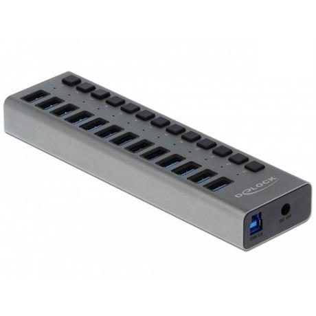 DeLock  Hub USB 5 Gbps esterno con 13 porte + Switch 