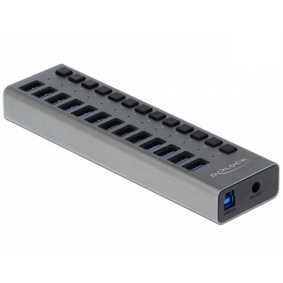 DeLock  HUB USB 5 GBPS ESTERNO CON 13 PORTE + SWITCH 