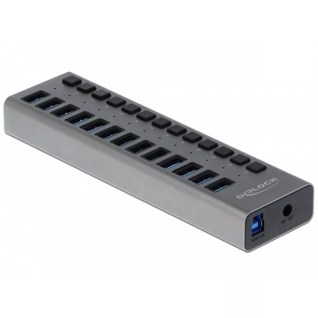 DeLOCK - hub - 13 ports USB-Hubs - USB 3.0 - 13 - Grau
