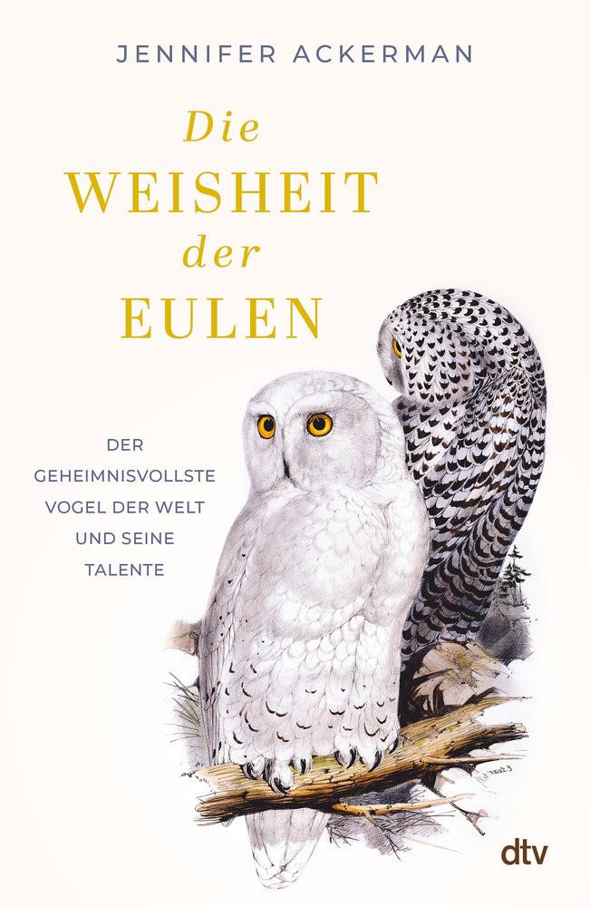 Die Weisheit der Eulen Ackerman, Jennifer; Vogel, Sebastian (Übersetzung) Copertina rigida 