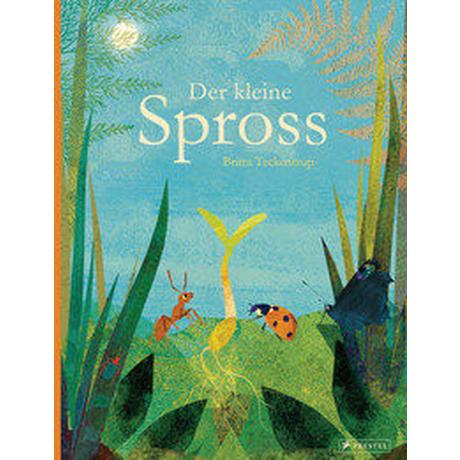 Der kleine Spross Teckentrup, Britta; Teckentrup, Britta (Illustrationen) Copertina rigida 