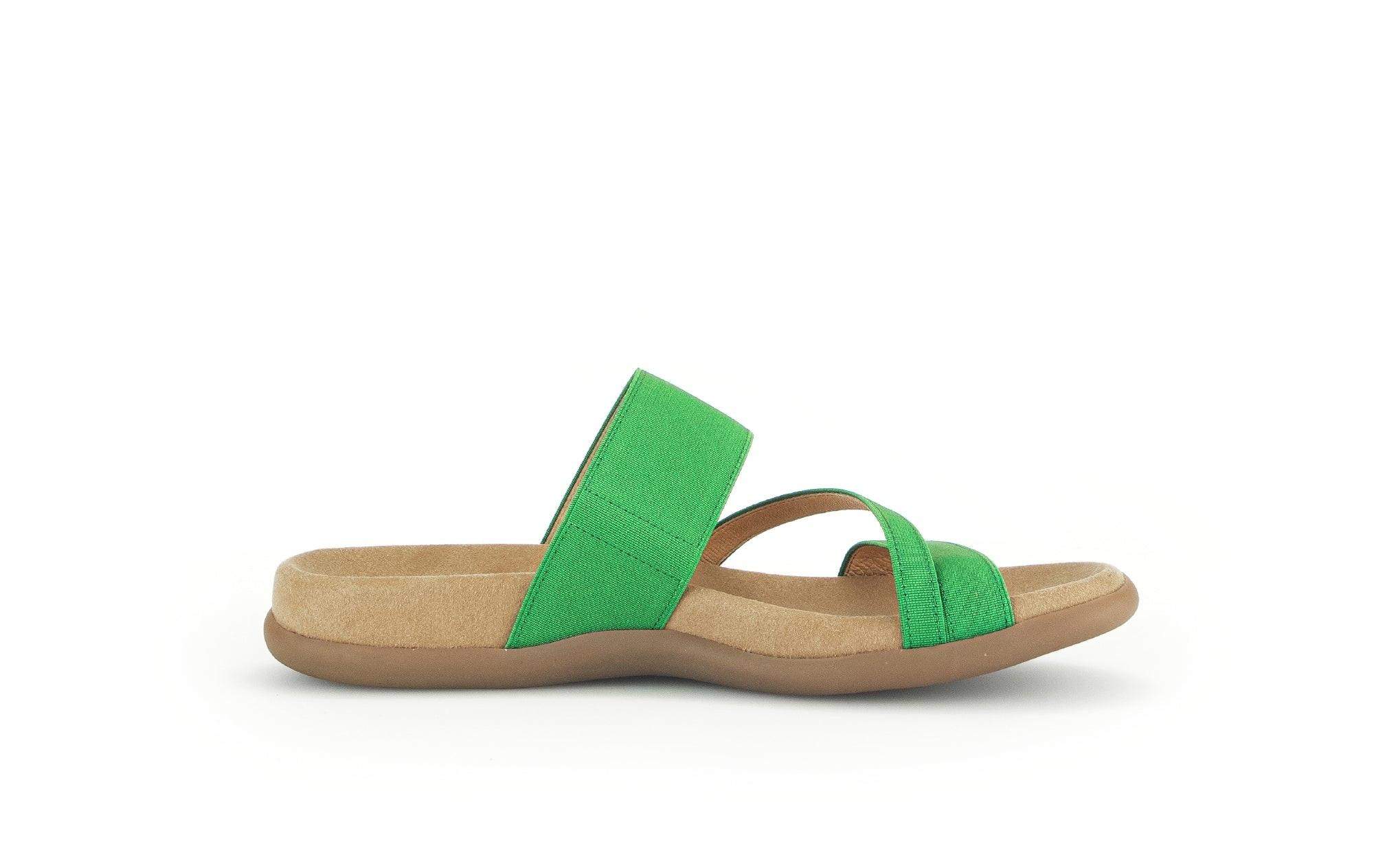 Image of Synthetik Flip Flop Damen Grün 40