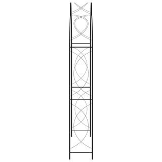 VidaXL  Voûte de jardin fer 