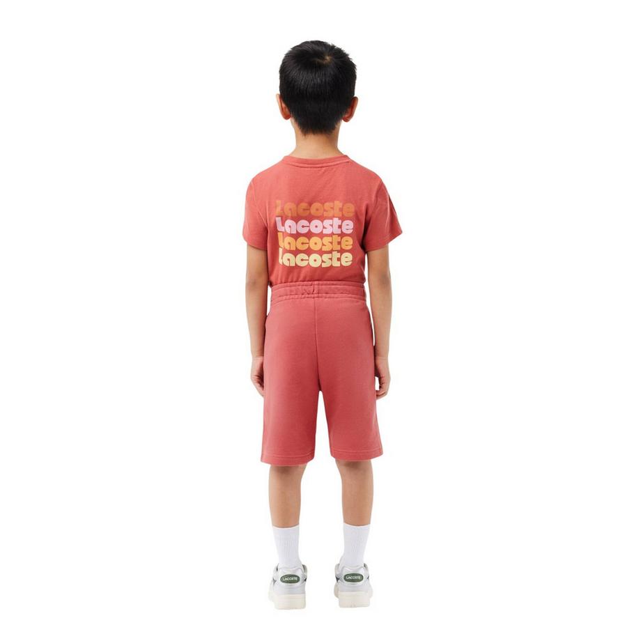 LACOSTE  Shorts 