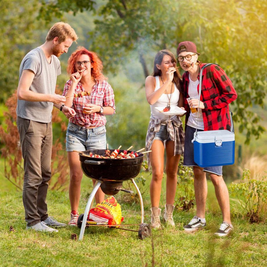 B2X  Glacière petite 8 litres 