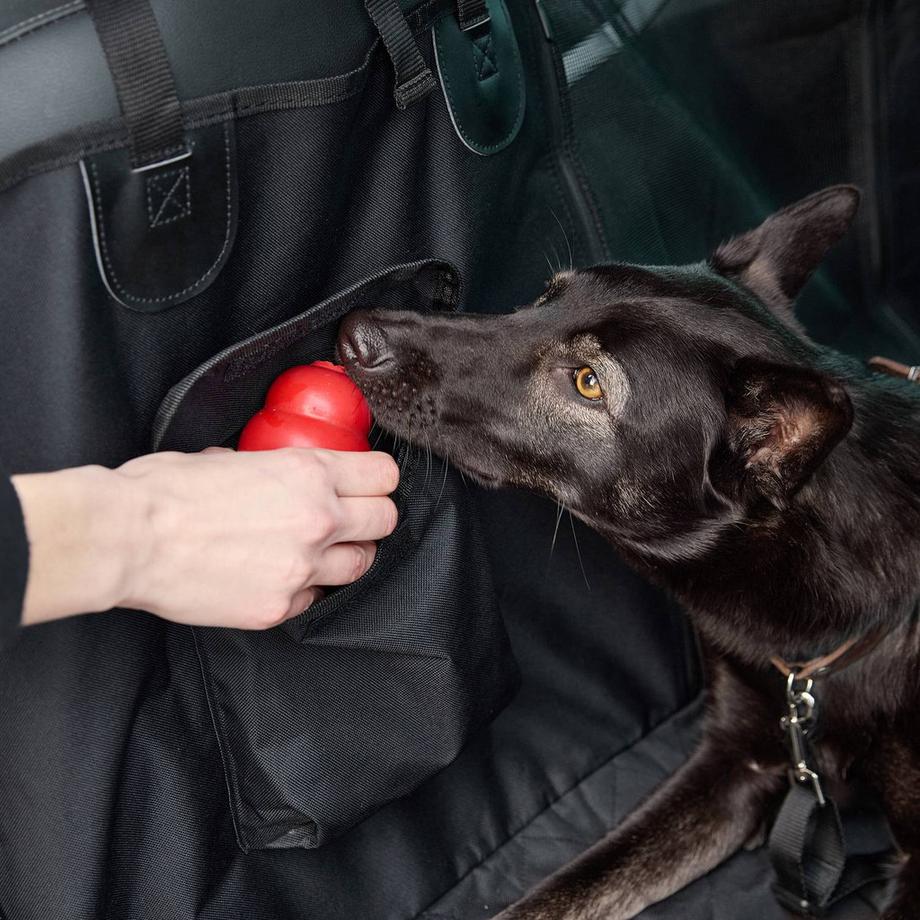 B2X  Couverture pour chien sur le siège arrière de la voiture 