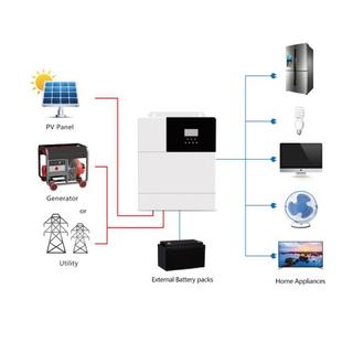 AutoSolar  Hybrid24 adattatore e invertitore Interno 3000 W Nero, Bianco 