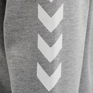 Hummel hmlGO Cotton Kapuzenjacke mit durchgehendem Reissverschluss  