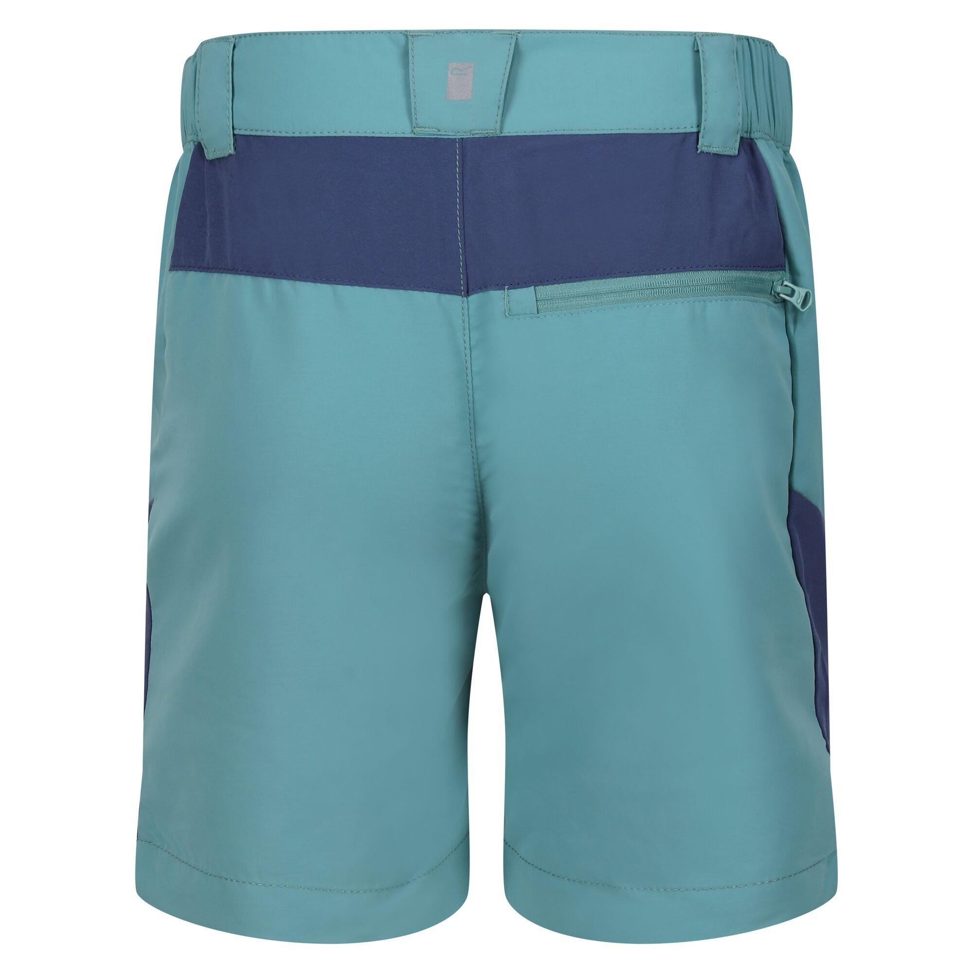 Regatta  Sorcer Mountain III Shorts 