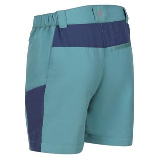 Regatta  Sorcer Mountain III Shorts 