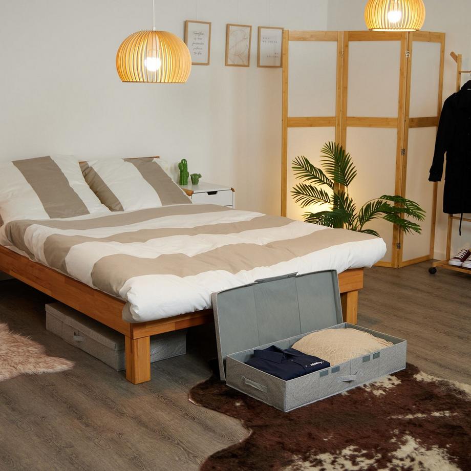 B2X Cassettiera sottoletto con coperchio, confezione da 2  