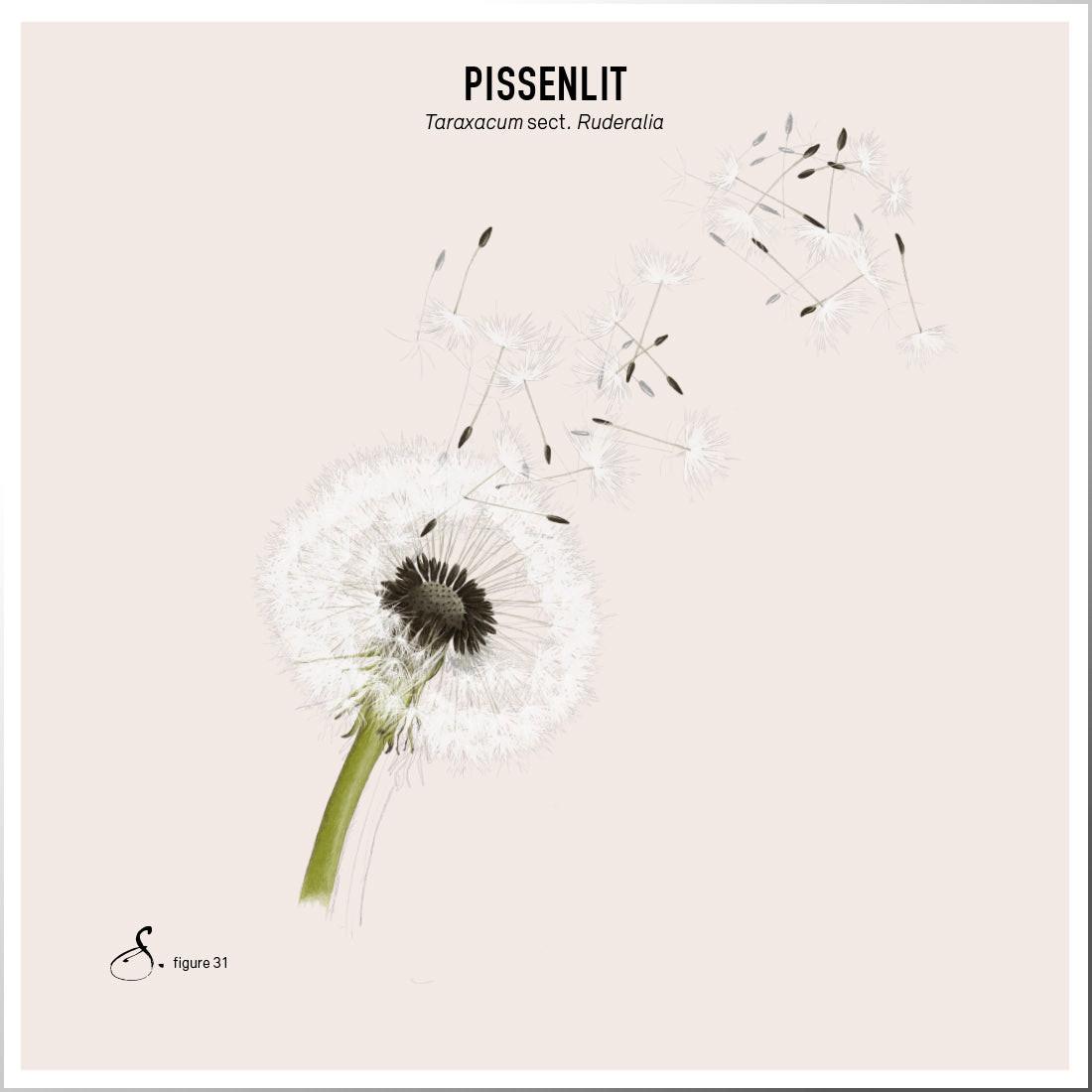 Sekoya Swiss  Exaflora | Prébiotiques et probiotiques naturels avec 20 milliards de bactéries 