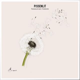 Sekoya Swiss  Exaflora | Prébiotiques et probiotiques naturels avec 20 milliards de bactéries 