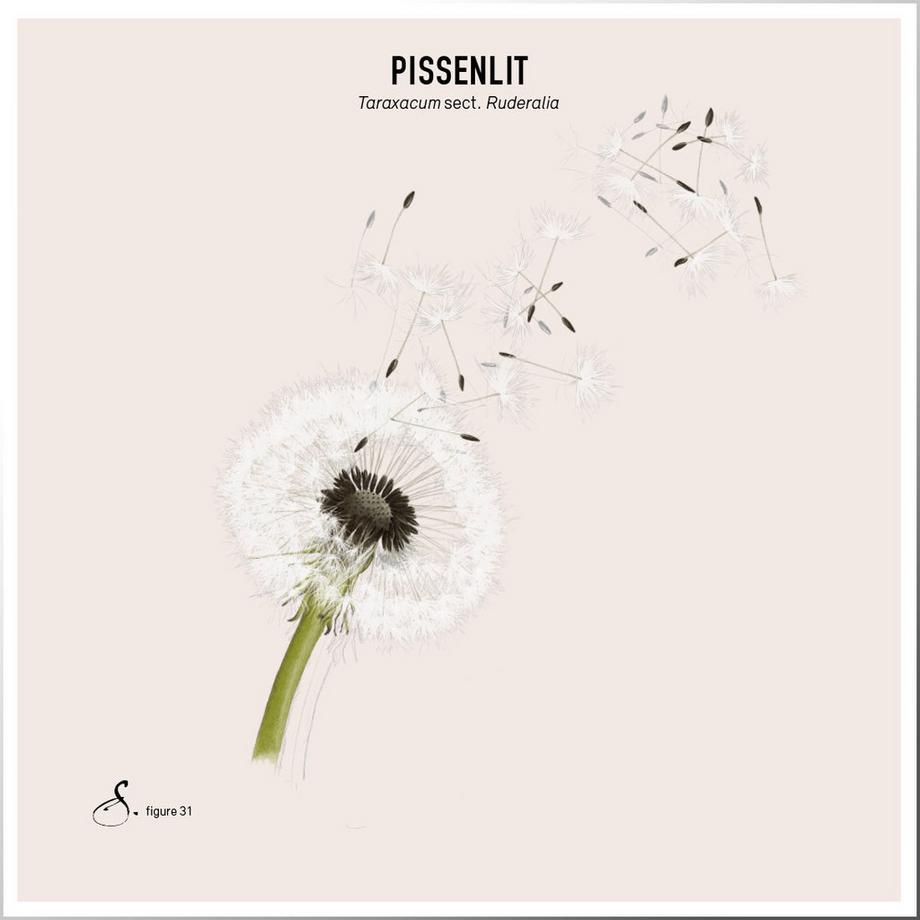 Sekoya Swiss  Exaflora | Prébiotiques et probiotiques naturels avec 20 milliards de bactéries 