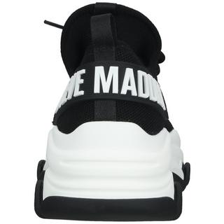 STEVE MADDEN  Sneaker 