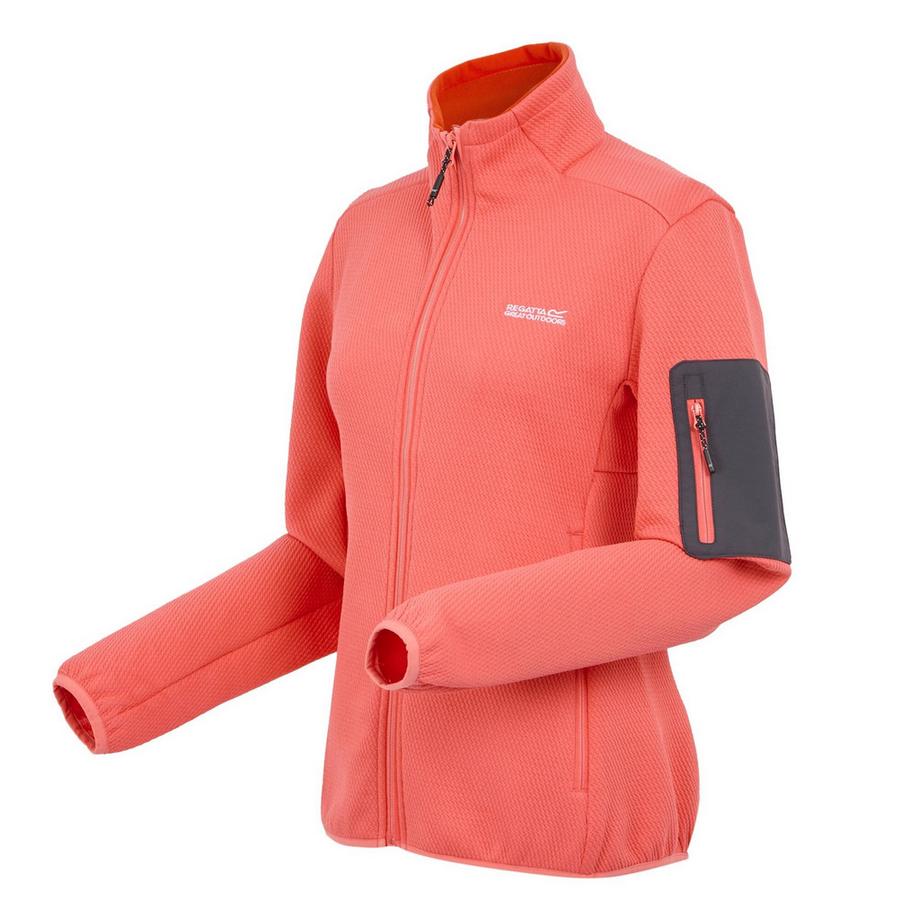 Regatta Veste Randonnée Aldean  