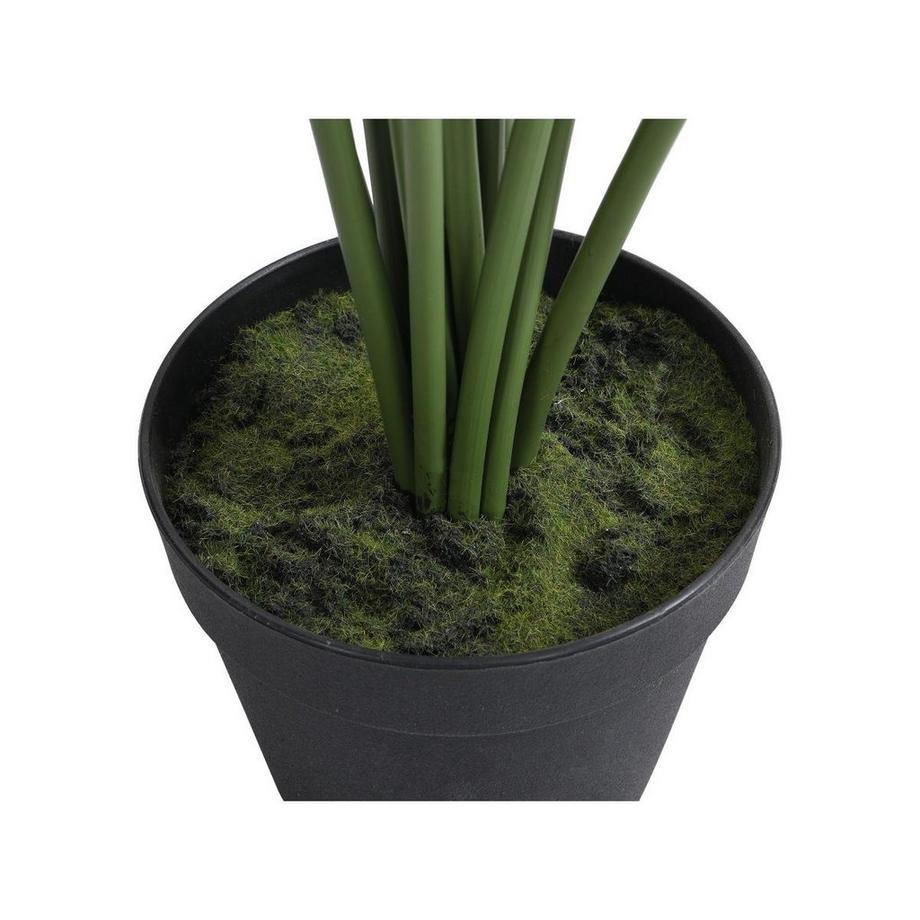 Vente-unique Albero artificiale palma con vaso H.160 - PALMITA  
