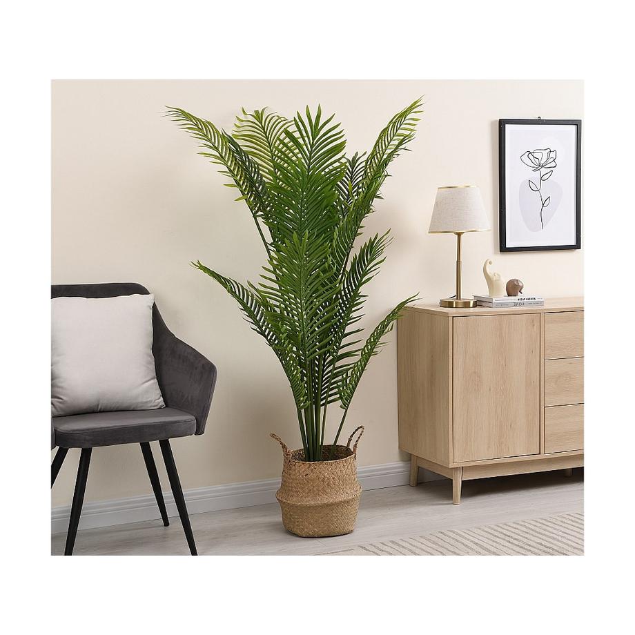 Vente-unique Albero artificiale palma con vaso H.160 - PALMITA  