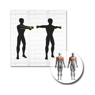 SCHILDKRÖT  Vinyl Hanteln 2.0kg 2er Set 